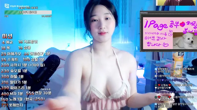 [Korean BJ] ddahyeel 2024-10-25