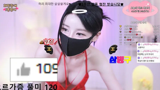 [Korean BJ] ohhanna 2024-05-12