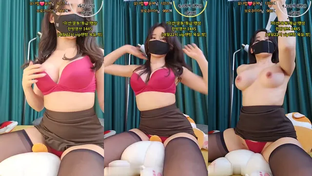 [Korean BJ] nemu00 2024-02-08