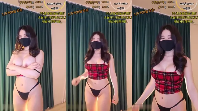 [Korean BJ] nemu00 2023-12-30