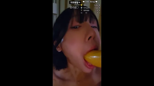 [Korean BJ] howru010 2023-11-25