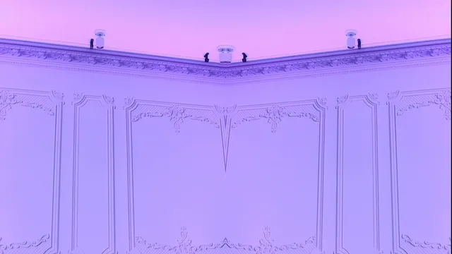 [Korean BJ] muse62 2024-08-25