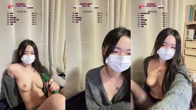 [Korean BJ] qwe1240 2024-12-21