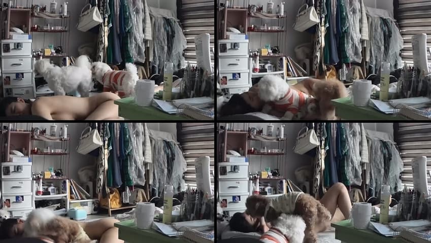[Korean BJ] 강아지 – KA25071308 – koreanbj.club