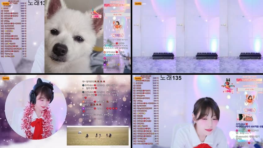[Korean BJ] qkeksms3 – KBJ25090646 – koreanbj.club
