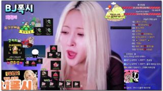 [kbj] 857-thisisfoxy01_2026-01-29 | koreanbj.site