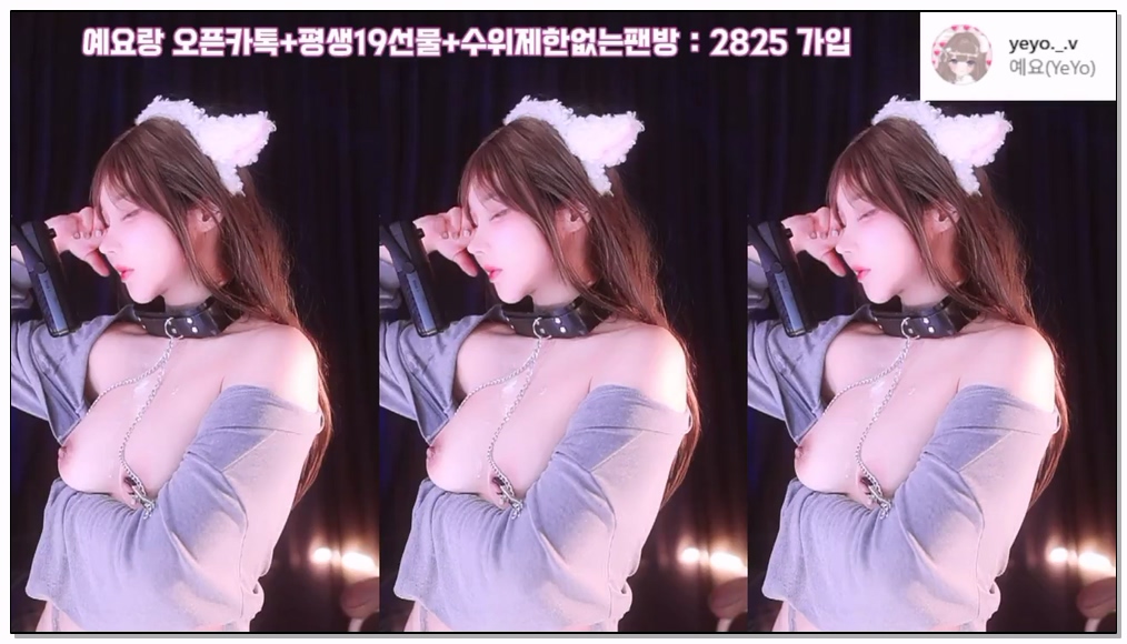 [kbj] 212-nyangnyang1004_2026-02-08 | koreanbj.site
