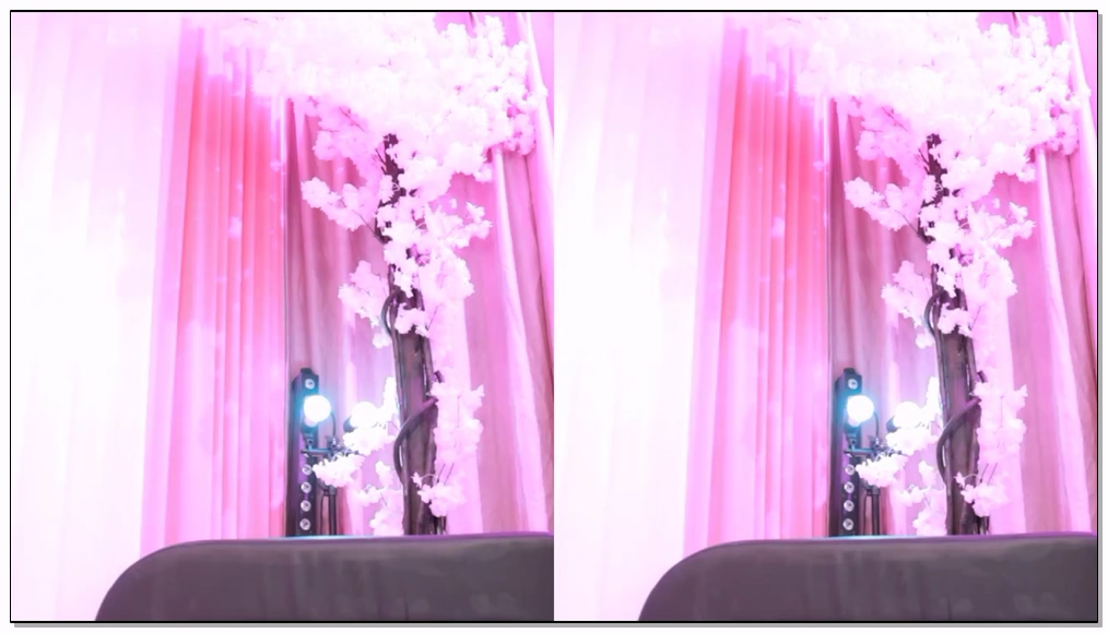 [kbj] 315-luvsy2_2026-02-11 | koreanbj.site