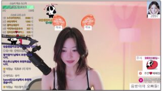 [kbj] 429-juyeon0909_2026-02-15 | koreanbj.site