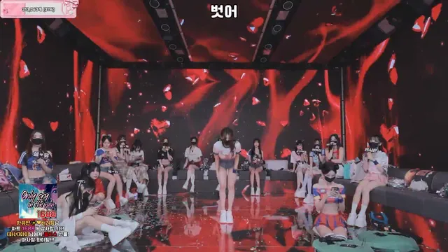 [Korean BJ] pandaclass 2026-06-11