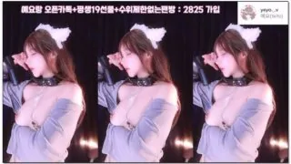 [kbj] 212-nyangnyang1004_2026-02-08 | koreanbj.site